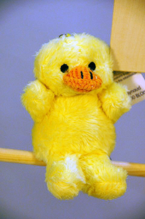 http://www.e-interiorshop.com/image/les-petites-marie061.jpg